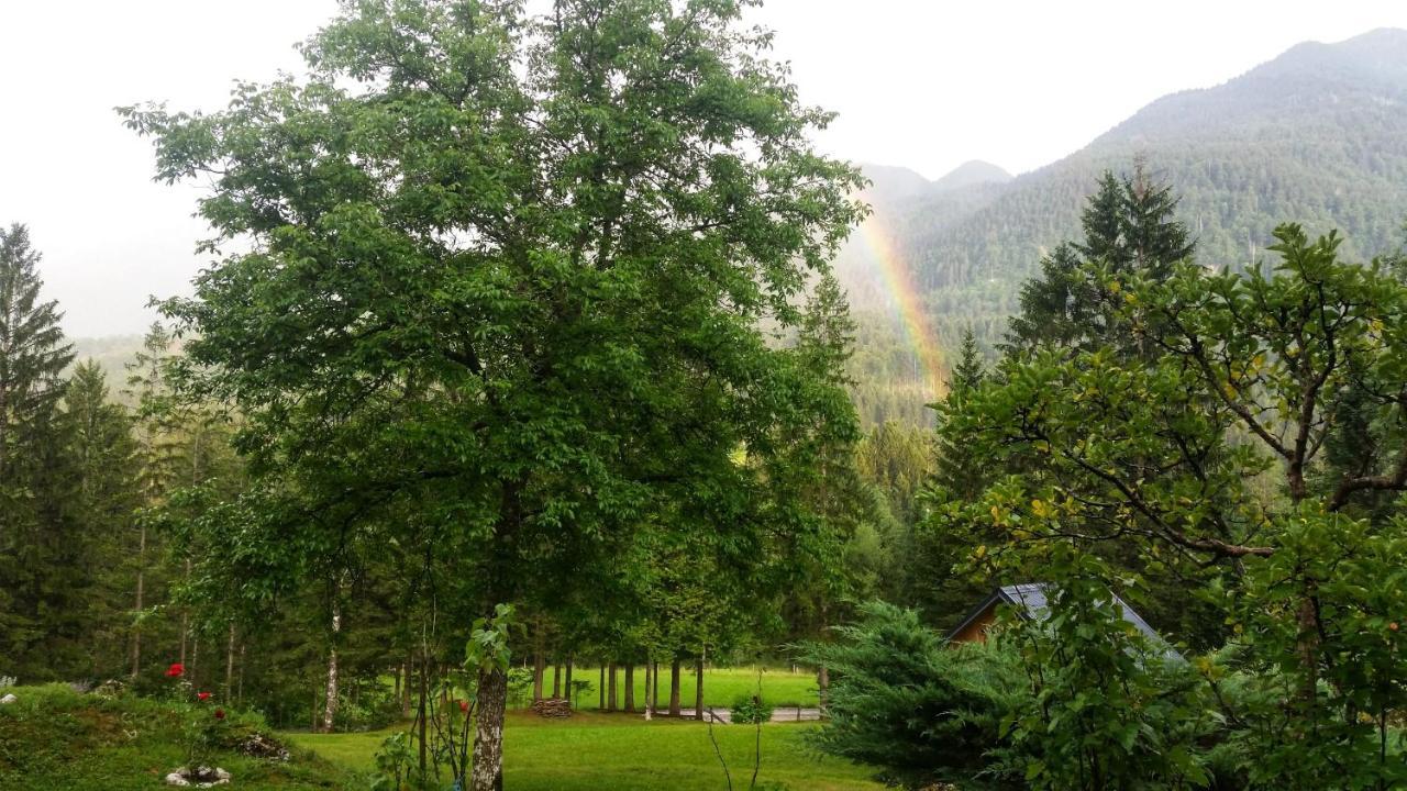 Pocitniska Hisa Eros Villa Bohinj ภายนอก รูปภาพ