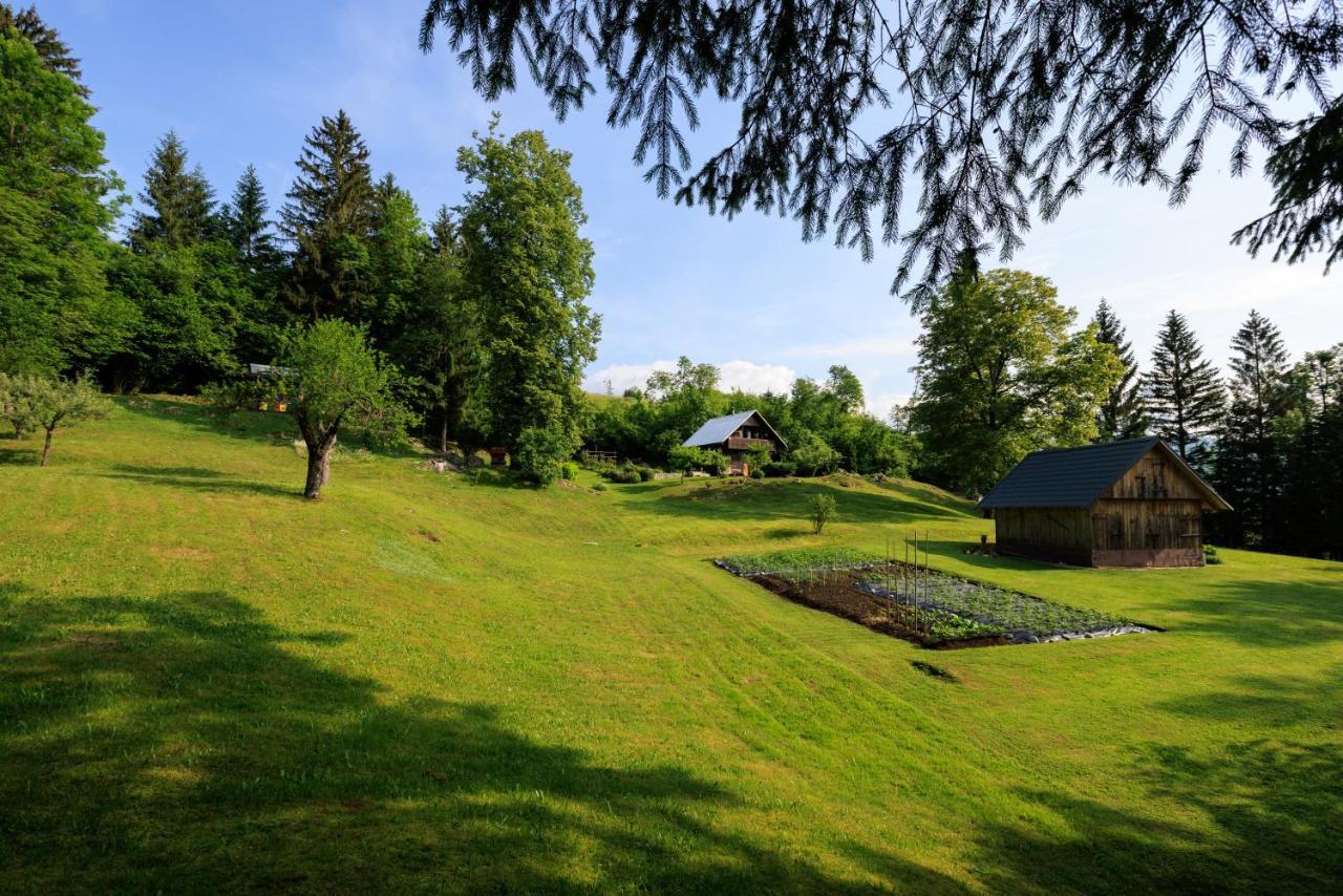Pocitniska Hisa Eros Villa Bohinj ภายนอก รูปภาพ