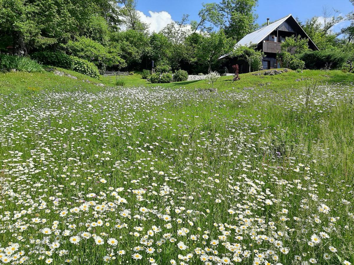Pocitniska Hisa Eros Villa Bohinj ภายนอก รูปภาพ